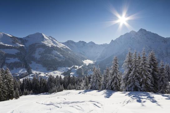 Hôtel Zum Tierpark 19