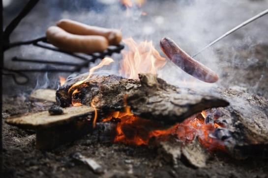 Hôtel Zum Tierpark 20