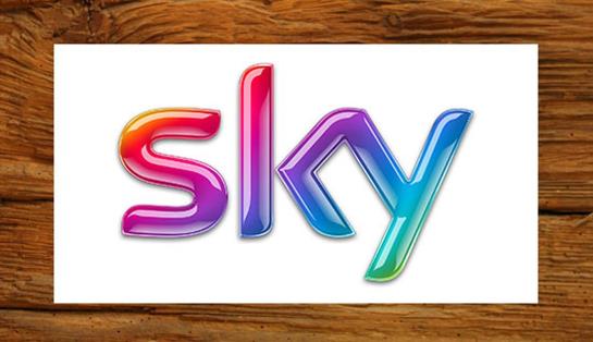 Hotel Vilstaler Hof 2