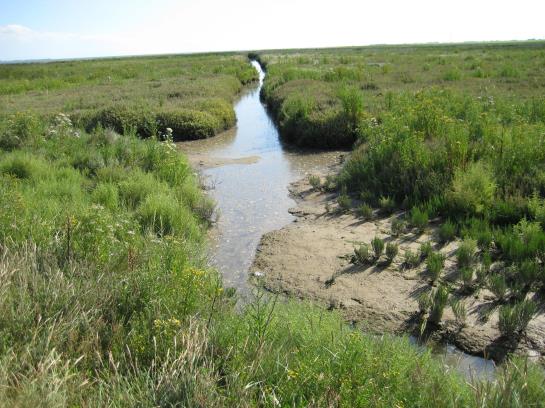 Strandhotel Wietjes 12