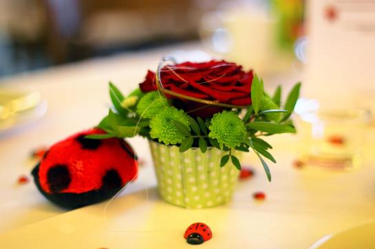 Hotel Gasthaus Zur Krone 12