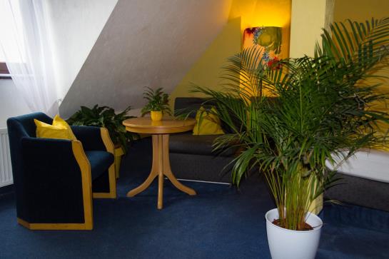 Hotel Hessischer Hof 3
