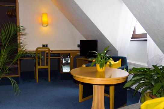 Hotel Hessischer Hof 5