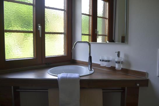 Hotel Freiämter Hof 10