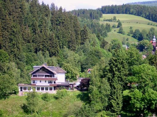 Hotel Zur Schmiede 5