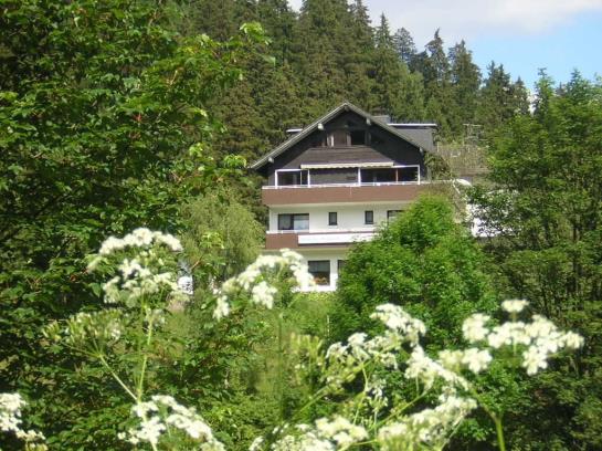 Hotel Zur Schmiede 7