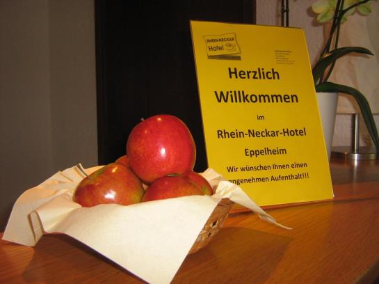 Hotel Rhein-neckar Eppelheim 5