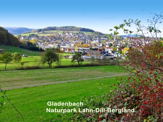 Hotel Zum Treppche 3