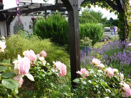 Hotel zu Jeddeloh's Rosengarten 13