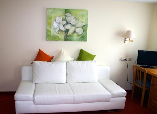 Zum Goldenen Schwanen Hotel & Restaurant 18