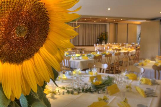 Zum Goldenen Schwanen Hotel & Restaurant 8