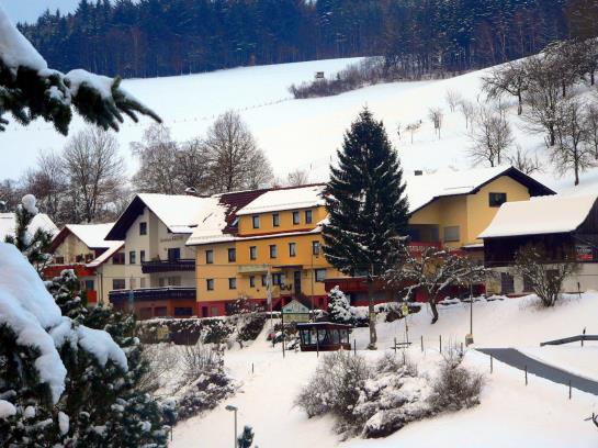 Hotel Gasthof zur Krone 19