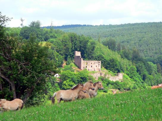 Hotel Gasthof zur Krone 9