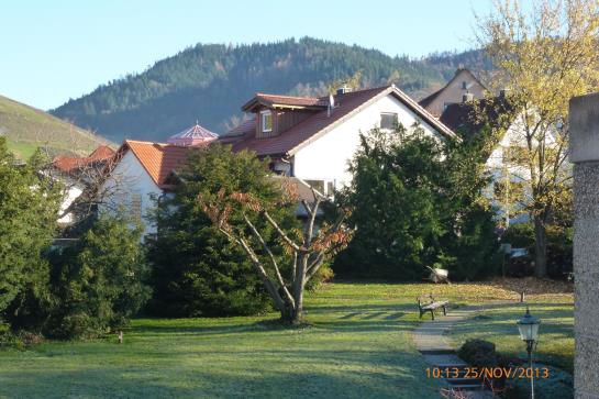 Hotel Grüner Baum 1