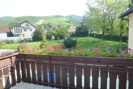 Hotel Grüner Baum 11