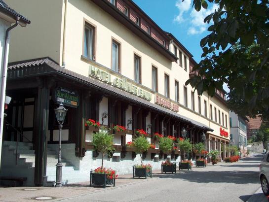 Hotel Grüner Baum 12