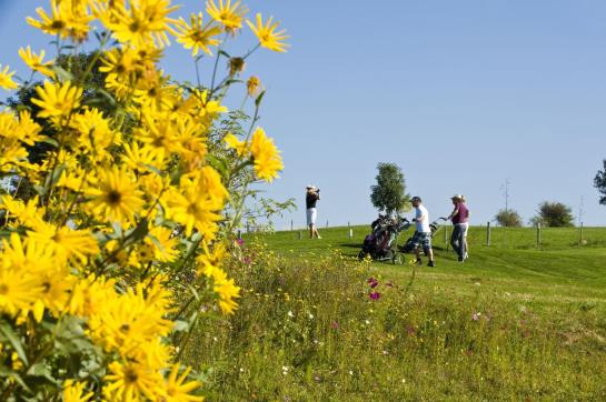 Hotel Hanusel Hof 11