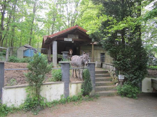 Café-hotel Am Postkeller 7