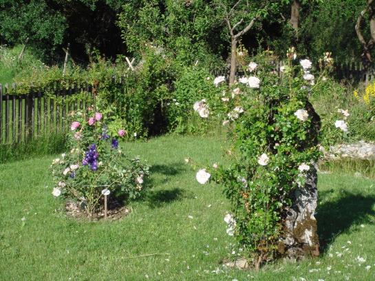 Hotel Haus Am Markt 12