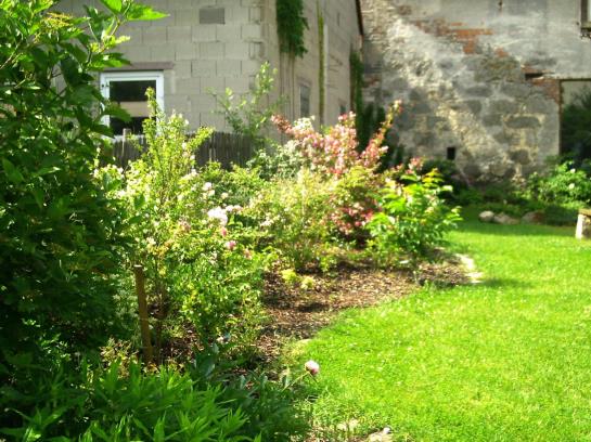 Hotel Haus Am Markt 8