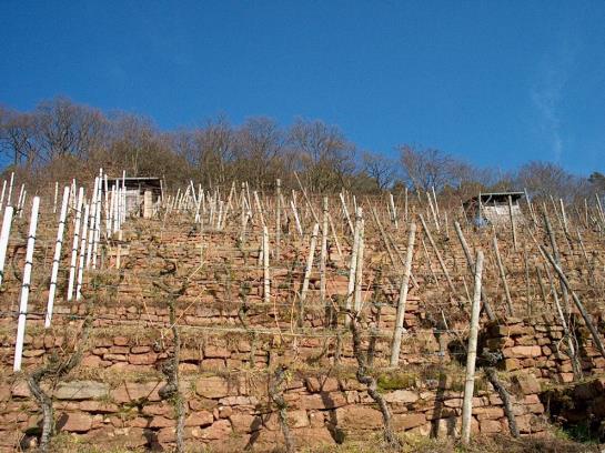 Hotel Katharinenhof 10