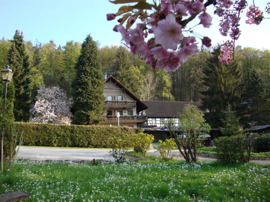 Hotel Paradeismühle 2