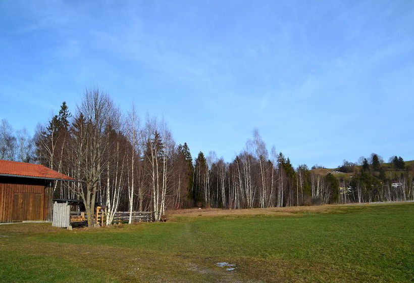 Hotel Birkenhof Baviera