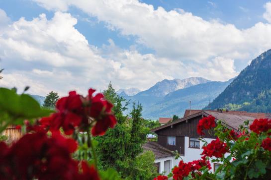Pension Berggasthof Zum Franke 15