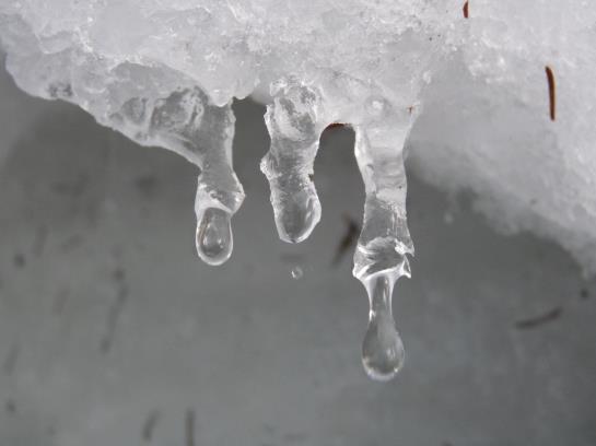 Hotel Kalkbrennerhof 19