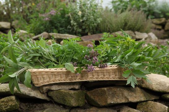 Hotel Zum Stemplinger Hansl 2