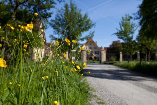 Hotel Gut Sonnenhausen 11