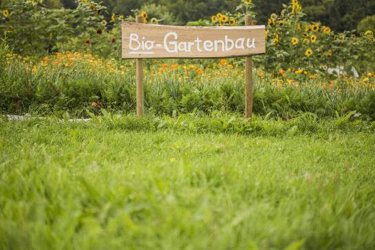 Hotel Gut Sonnenhausen 9