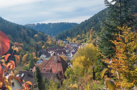 Hotel Therme Bad Teinach 1
