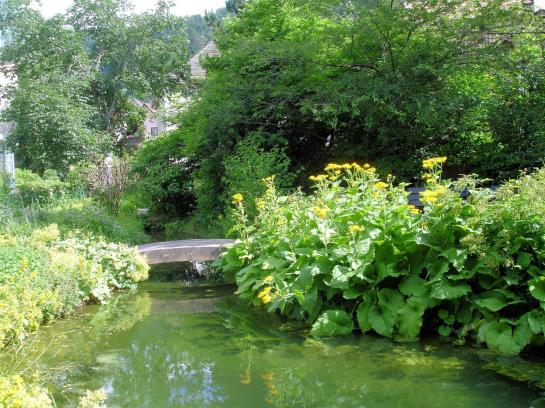 Hotel Therme Bad Teinach 11