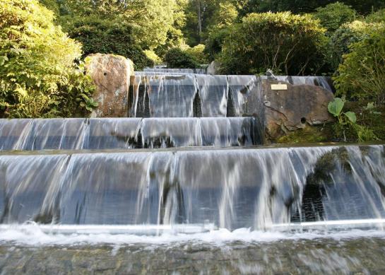 Hotel Therme Bad Teinach 12