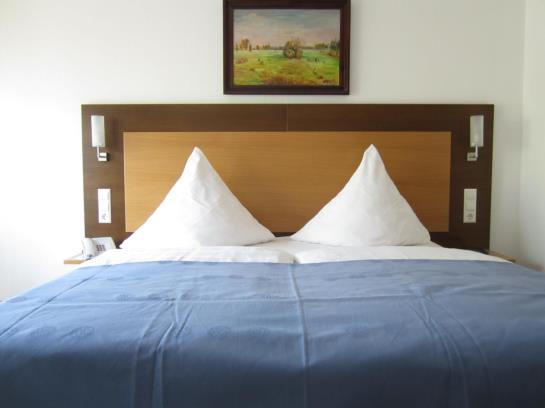 Hotel Waldparkstube 10