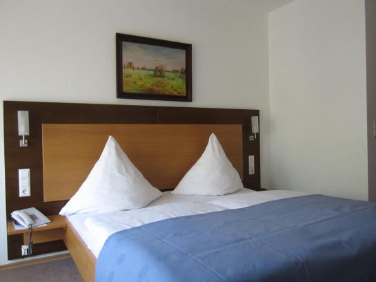 Hotel Waldparkstube 4