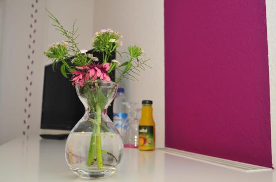 Hotel Zum Brunnen 14