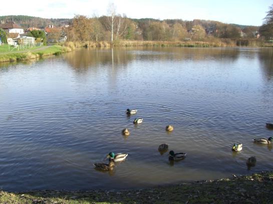 Hotel Kastanienhof 14