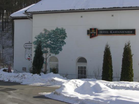 Hotel Kastanienhof 16