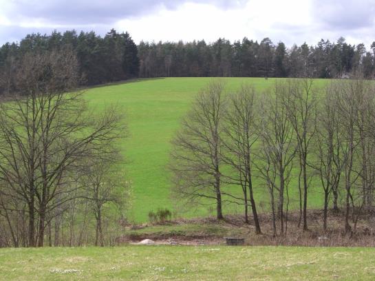 Hotel Kastanienhof 2