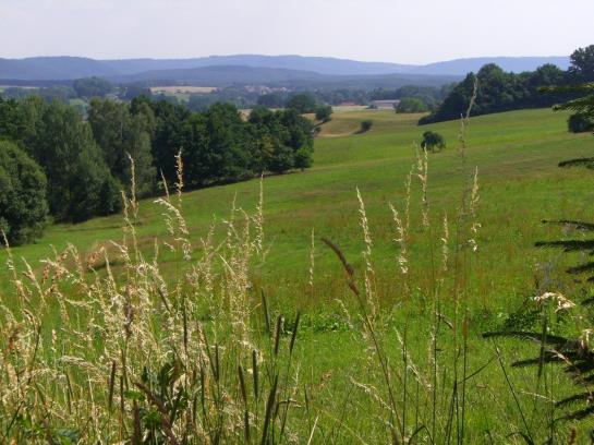 Hotel Kastanienhof 8