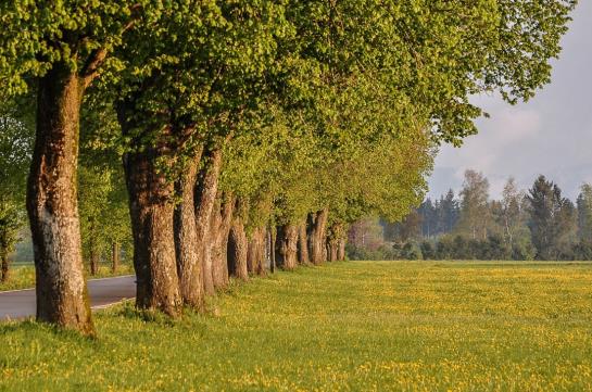 Hôtel Beim Huber In Linden 2