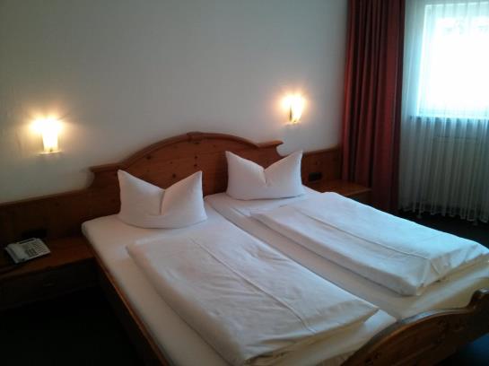 Hotel Alt-ringlein 8