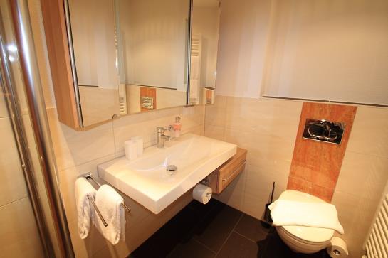 Hotel Zum Goldenen Anker 3