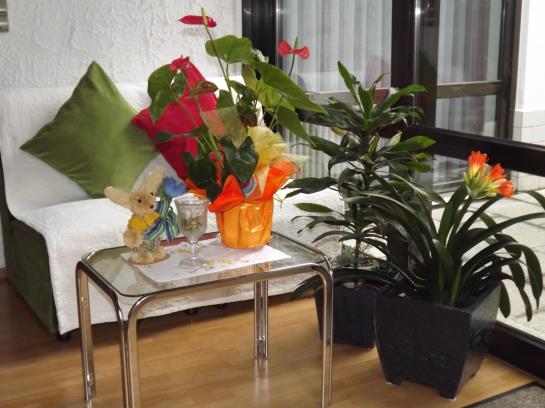 Pension Wacker Landgasthof 18