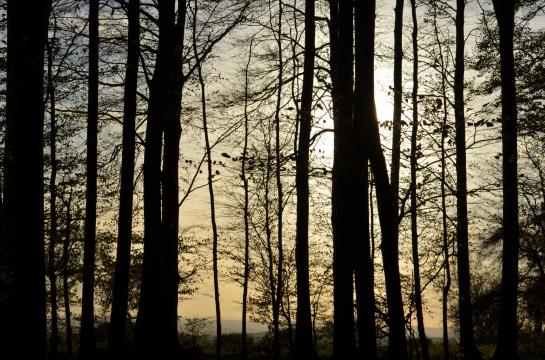 Hotel Spessartstuben 3