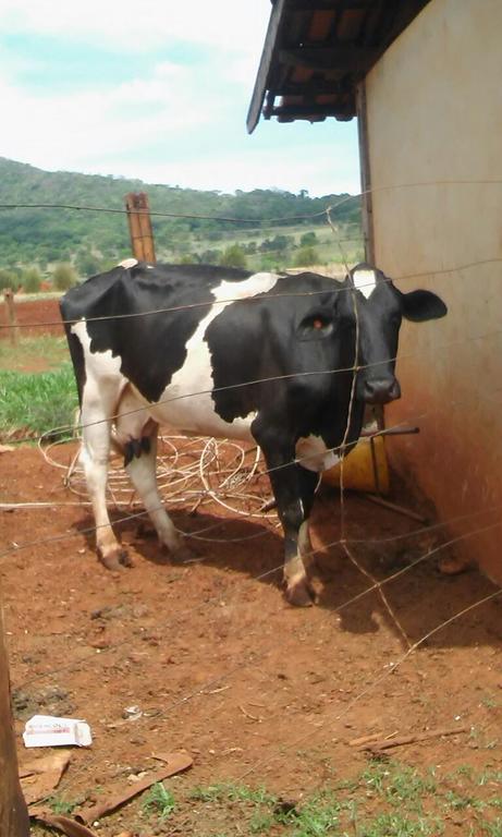 Hotel Fazenda E Pesqueiro Pousada Da Serra  | Goianésia | Goias | Brasil 2