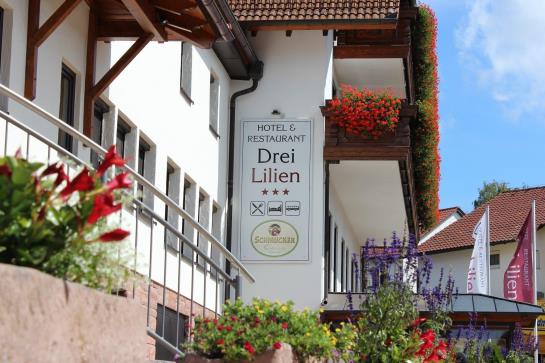 Hotel Drei Lilien 10