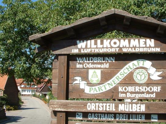 Hotel Drei Lilien 11